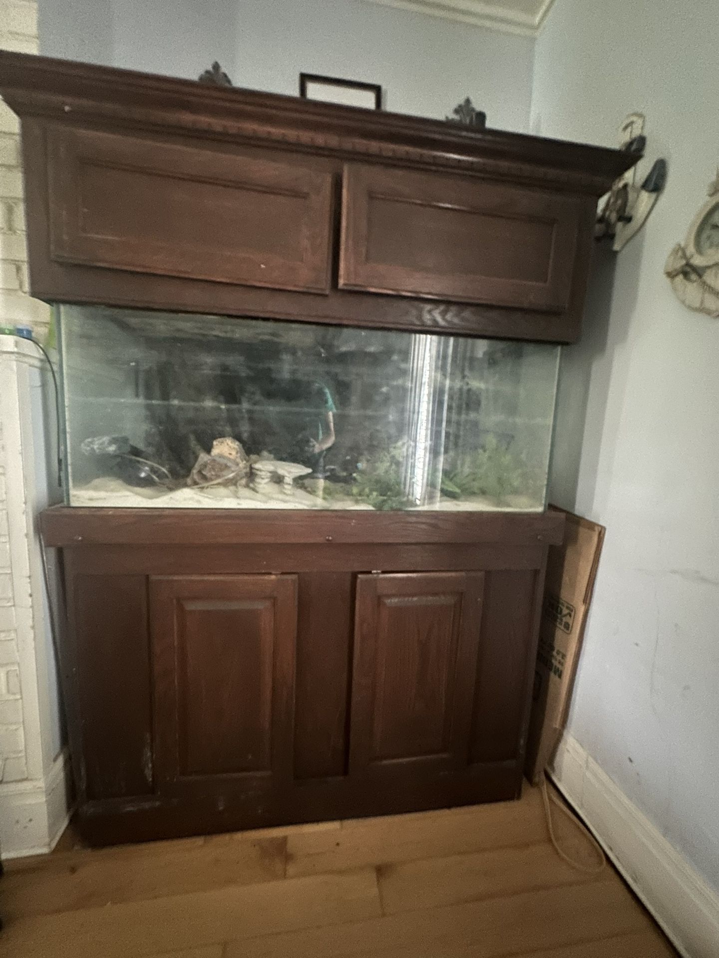 fish tank