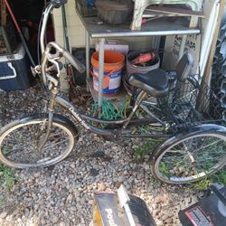 Adult Tree Wheel Bike 