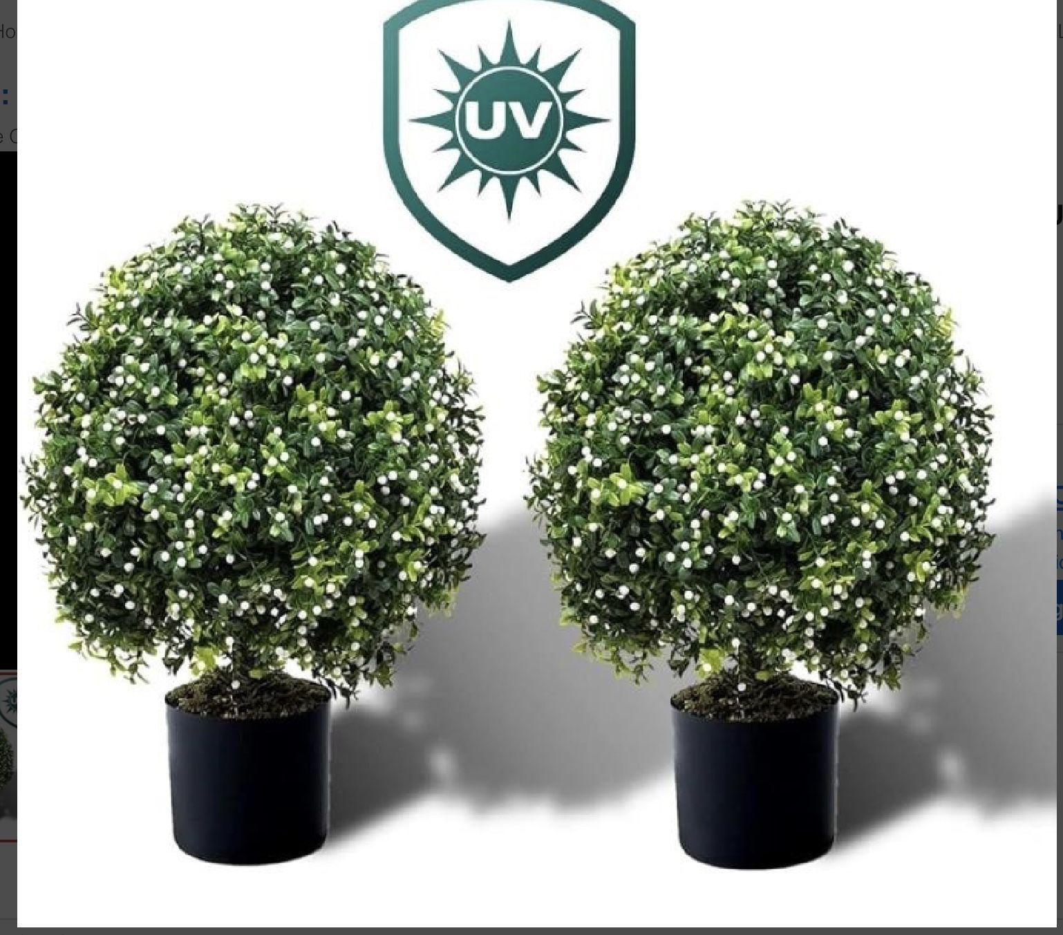 Set Of 2 Pre Potted Artificial Boxwood White Anti UV 24 “