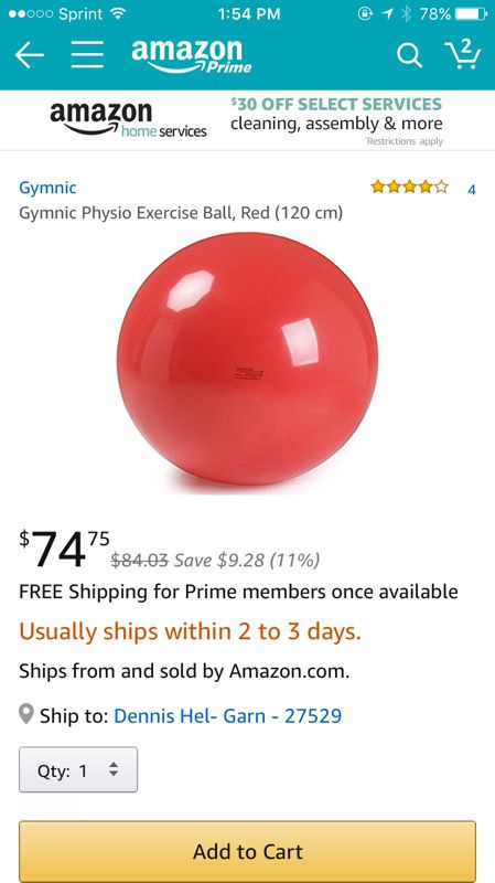 Gymnic Physio Exercise Ball (120 cm)