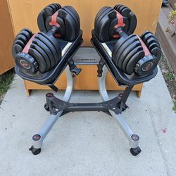 Bowflex 552 Adjustable Dumbbell Set with Stand
