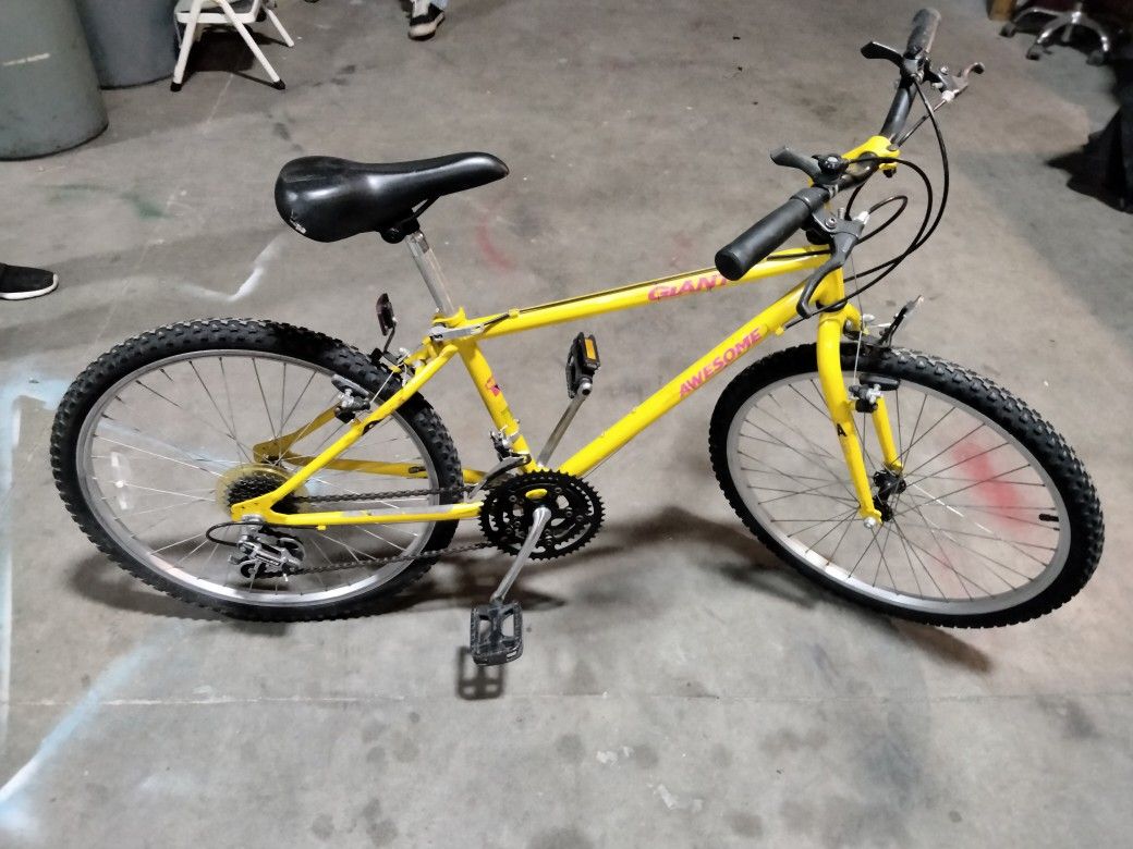 Classic Giant Mountain bike