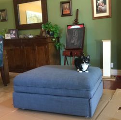 Convertible ottoman twin bed