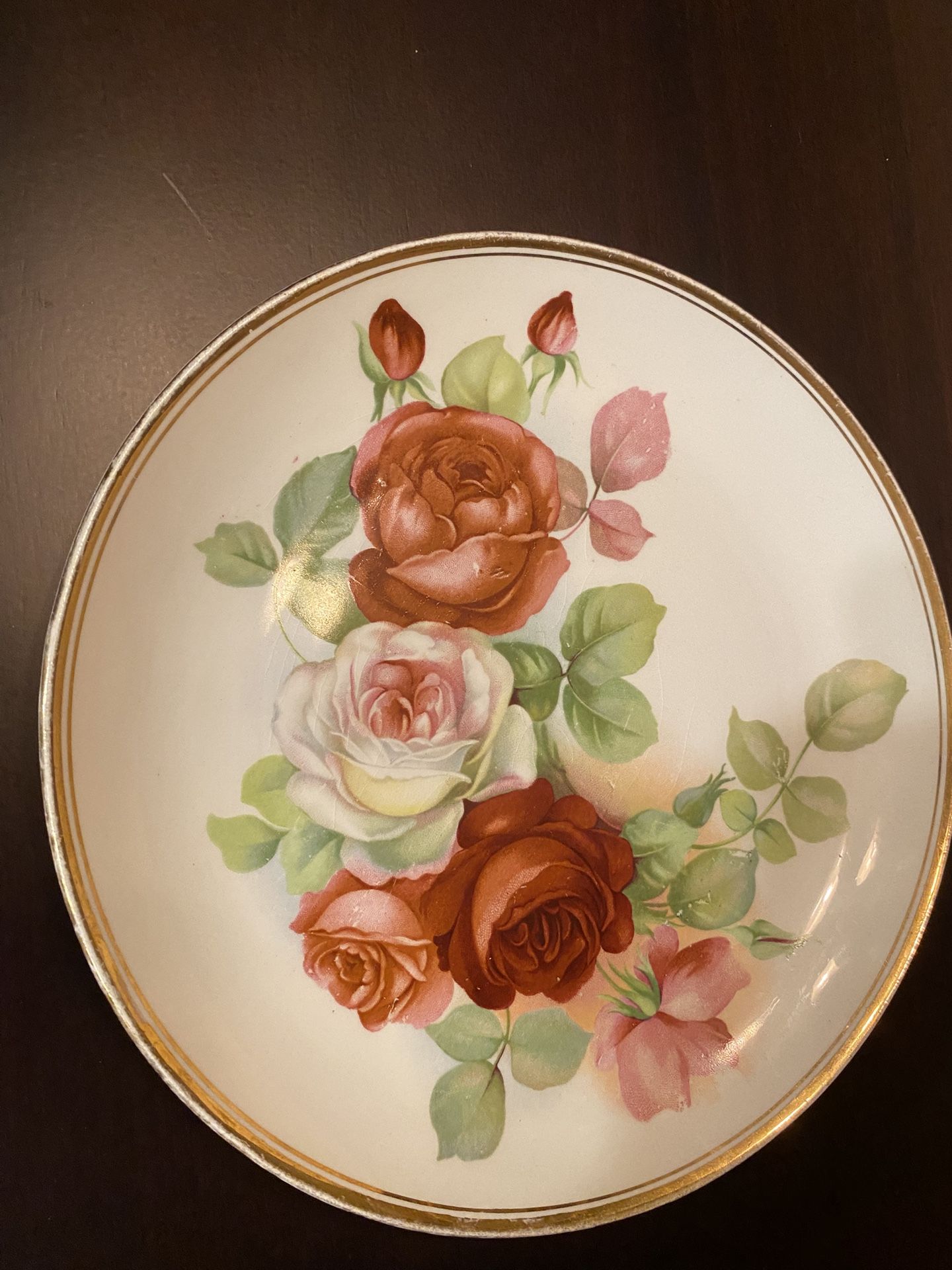 Antique Porcelain Plate Dresden Roses Floral Plate From 1906 