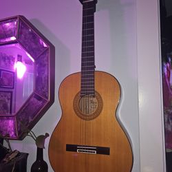 Alvarez Spanish Guitar