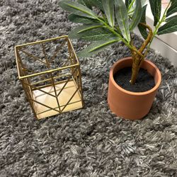 Pencil Holder & Fake Plant