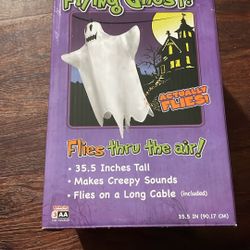 Flying Ghost 