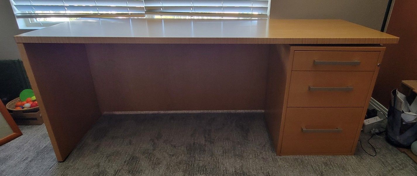 Contemporary Desk & File Cabinet 