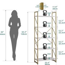 Gold And White Shelves 