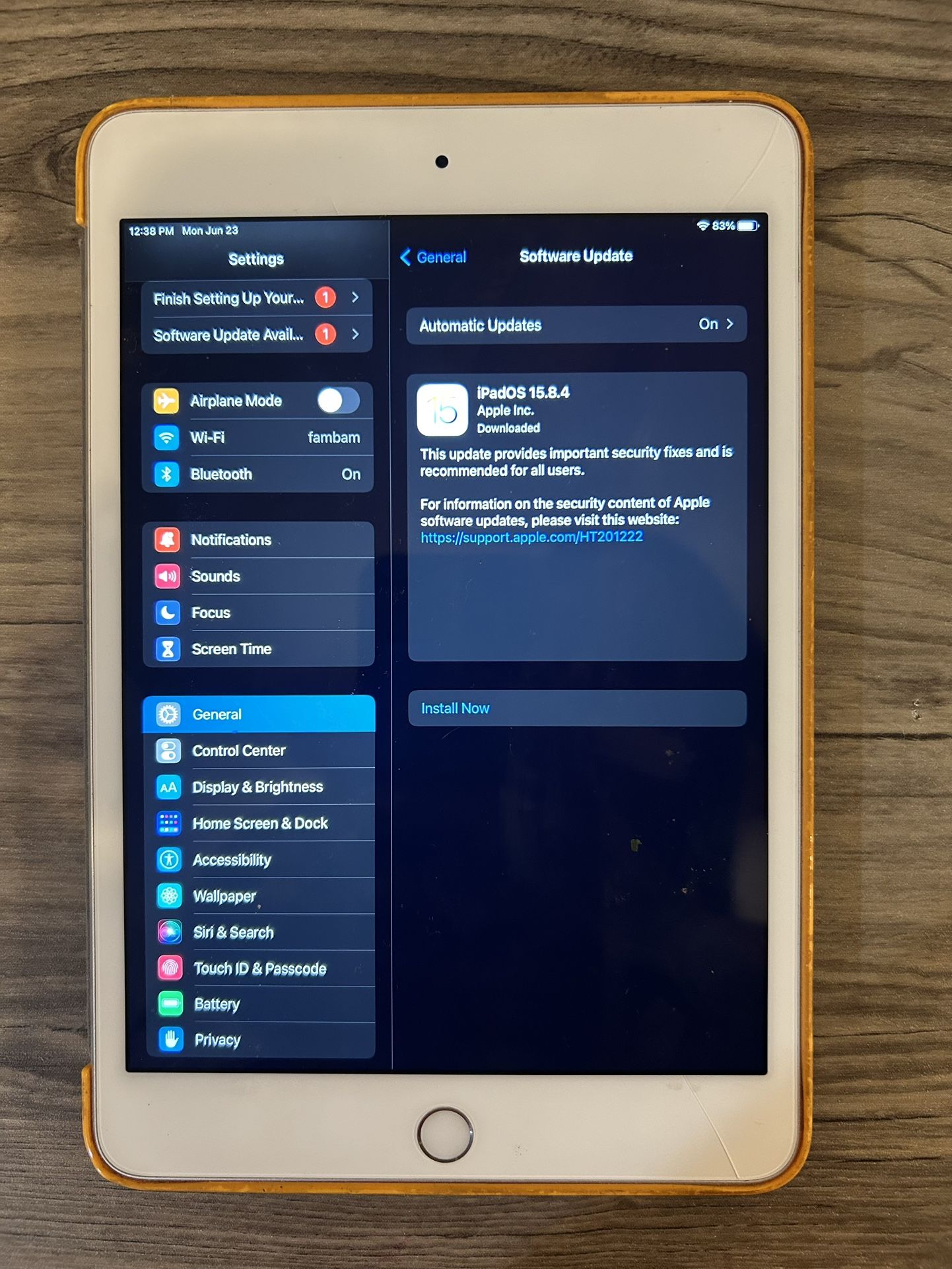 iPad 