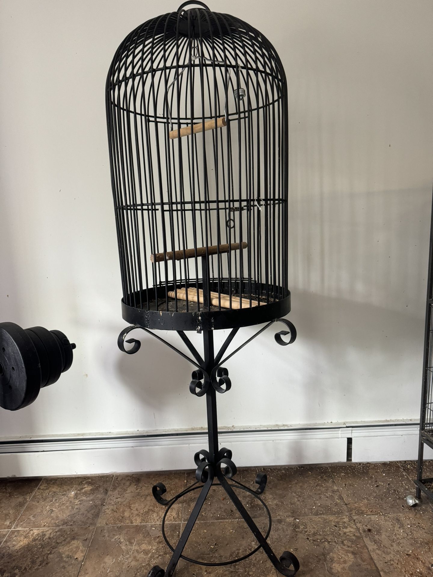Parrots birds cage