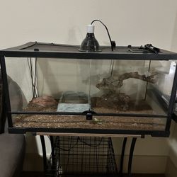 Open Front Desert Reptile Terrarium 20G