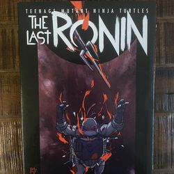 The Last Ronin Raphael