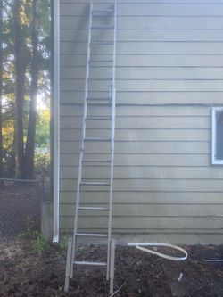 2 ladders