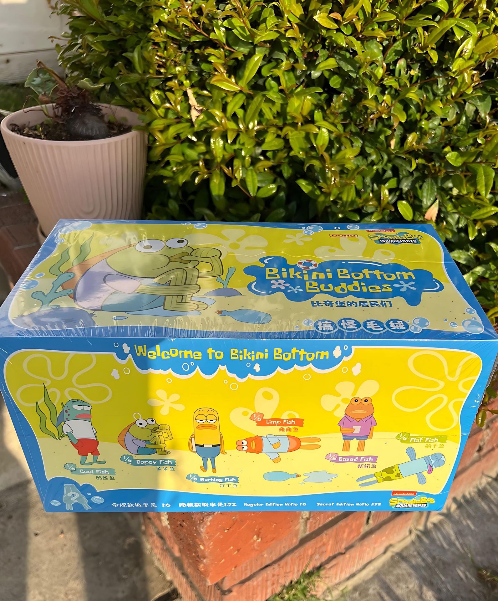 Bikini Bottom Buddies Authentic Box 6pc