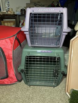 Pet/Dog Purple Crate, double door green crate