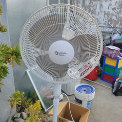 White fan