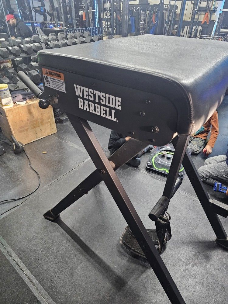 Rogue Westside Barbell Reverse Hyper