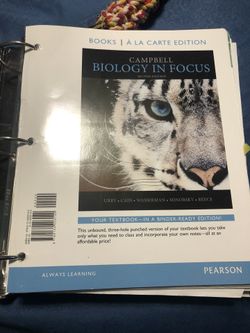 Biology in focus