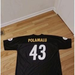 Troy Polamalu Jersey
