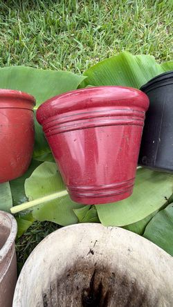 Assorted Garden Flower Pots & Planters – $5–$15Each 🌿