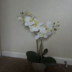 Fake Orchid Decorative Plant