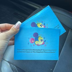 Two 3 Day Disneyland Park Hopper 