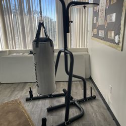 Bag W/stand   Boxing 