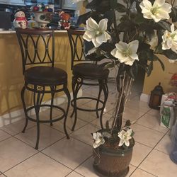 Chair And Plant Light
