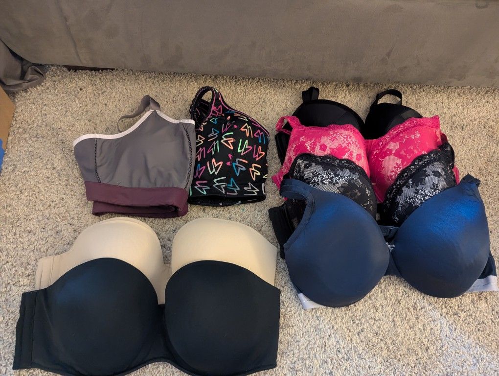 Plus Size Bras 