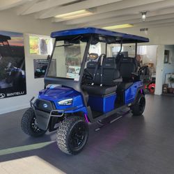 2026 Golf Cart Fully loaded top of the line luxury golf cart