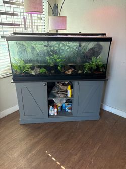 FREE - 75 gallon fish tank with everythjng