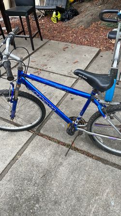 Blue Mountain Bike