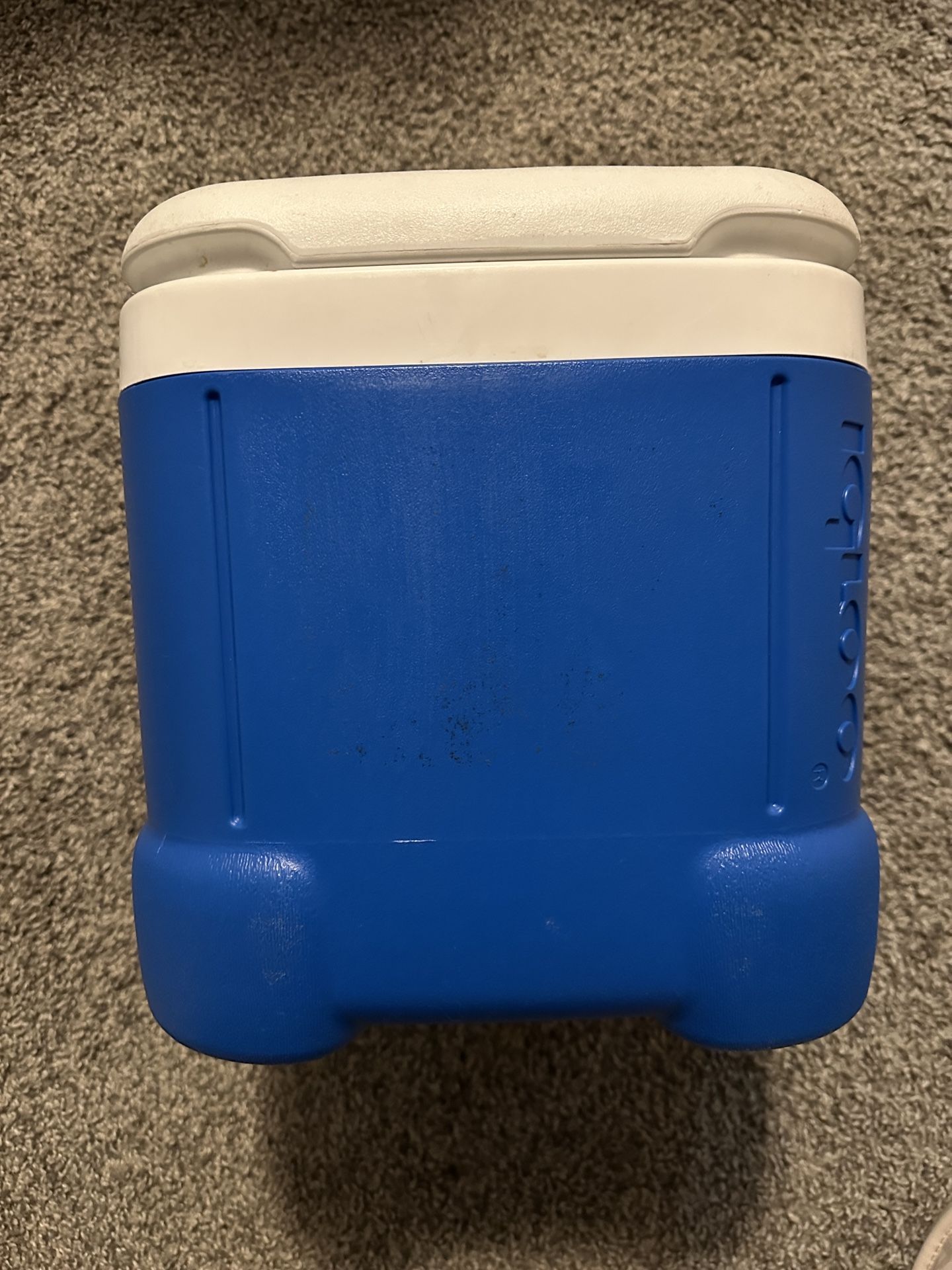 Small Igloo Cooler