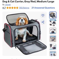 Airline Soft Carrier For Cats And Dogs