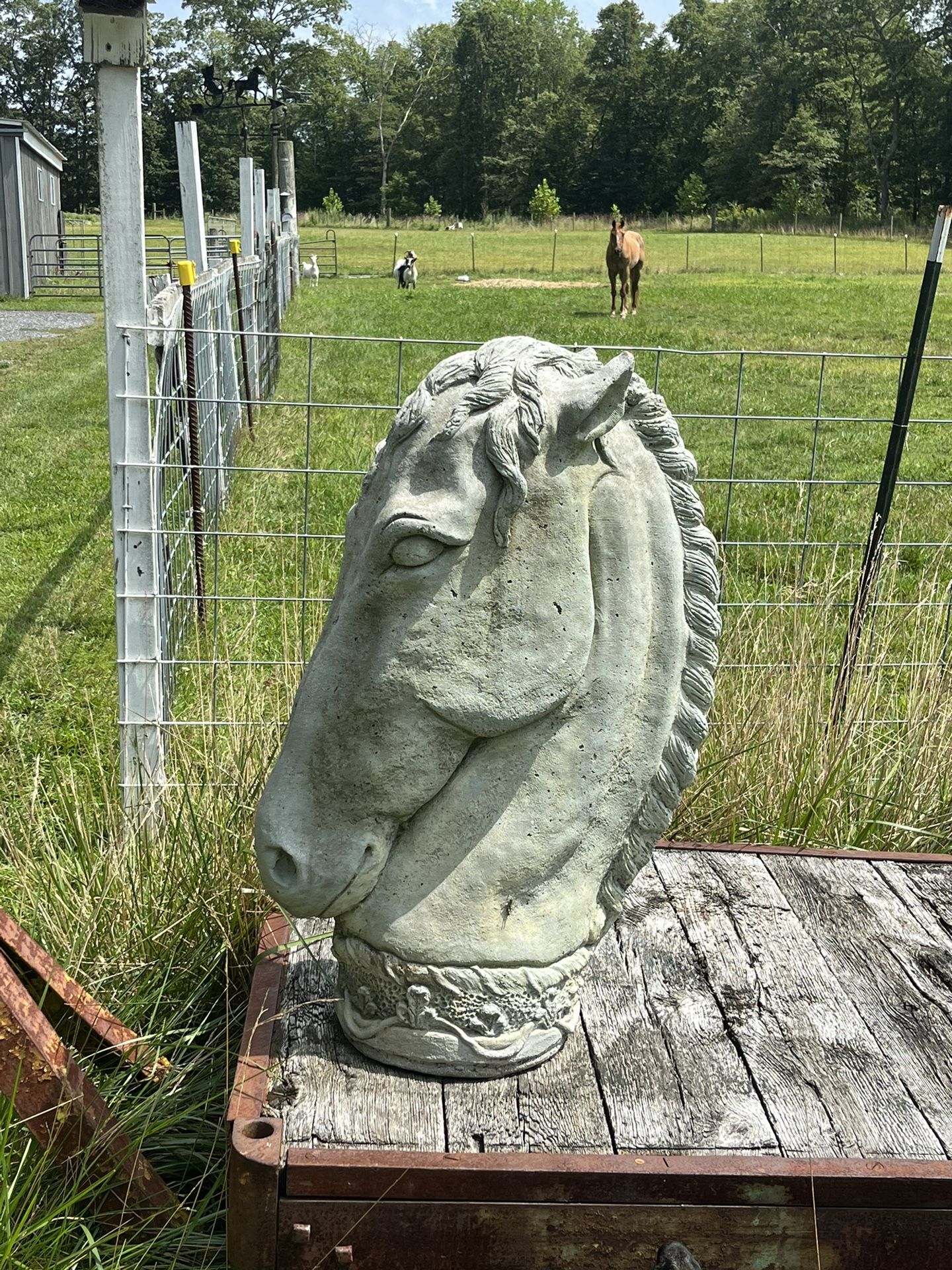 Concrete Horse Head