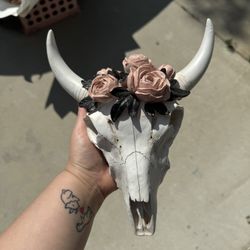 Cow Skull 