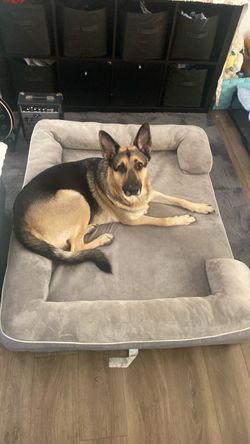 Large Gray Dog Bed