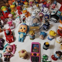 Paw Collection 
