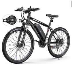 Electric Bike 