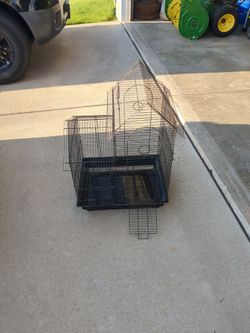 Bird Cage 