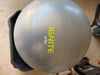 24” diameter Exercise Ball/ Ergonomic Chair