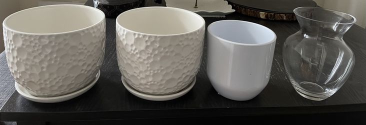 3 Plant Pot 1 Flower Vast