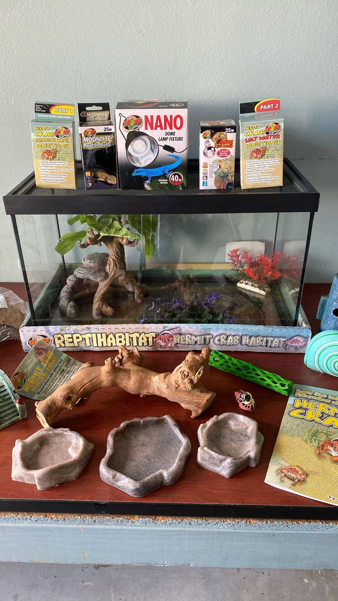 Reptile Habitat Kit From petco