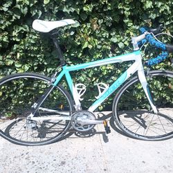 Trek   Road. Bike   55 Inch  Med. adult. Size