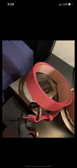 Gucci belts snake belts