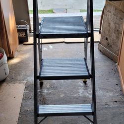 Step ladder 