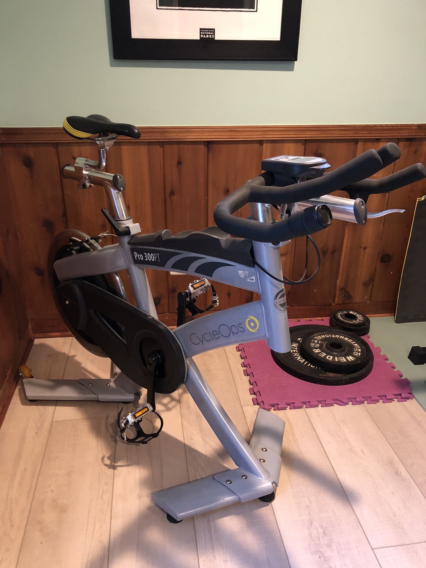CycleOps Pro 300PT Indoor Cycle