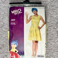 Adult Joy Costume 