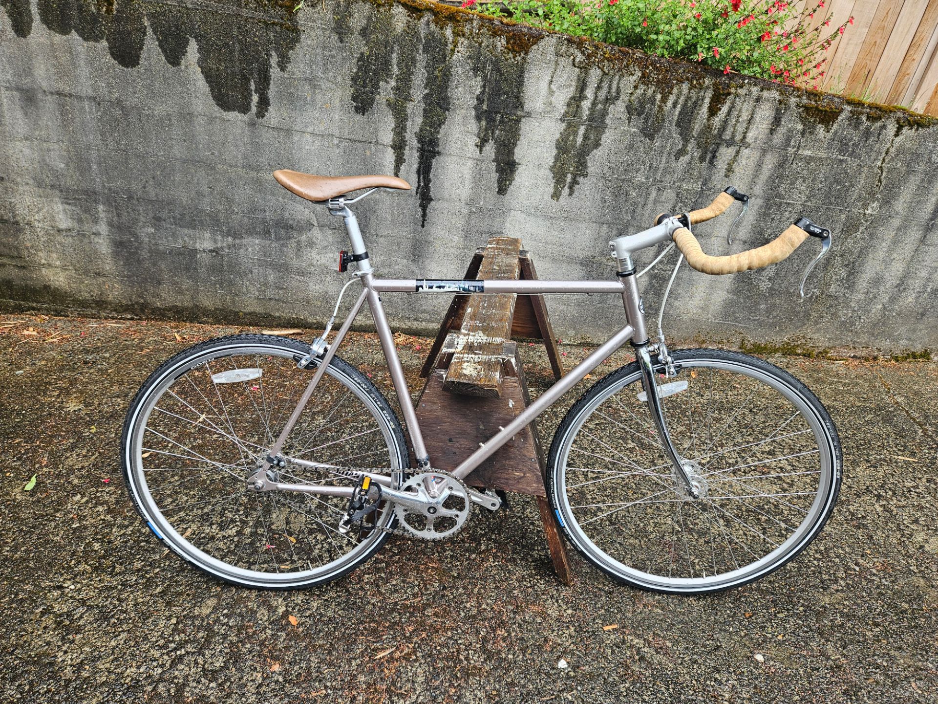 Single Speed Bicycle 58cm / large